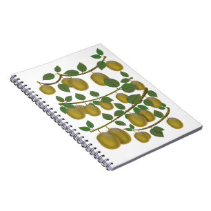 Cuaderno Fruta de kiwi