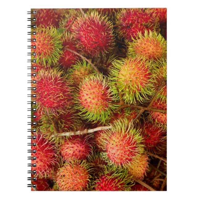Cuaderno Fruta de rambután en el mercado de Can Duoc (Frente)