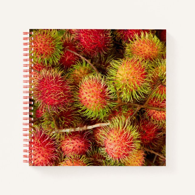 Cuaderno Fruta de rambután en el mercado de Can Duoc (Anverso)