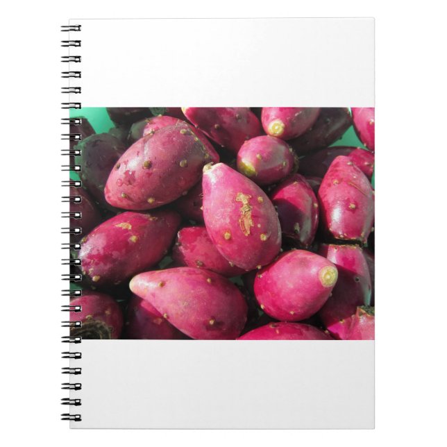 Cuaderno Fruta roja brillante del cactus del higo chumbo (Frente)