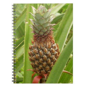 Cuaderno Fruta tropical de la piña silvestre en la naturale