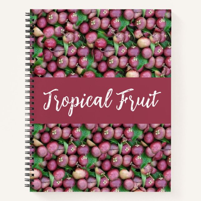 Cuaderno Fruta tropical de Mangostino Púrpura (Anverso)