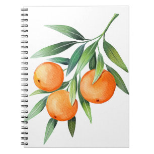 Cuaderno Frutas Naranjas acuáticas: Ramas aisladas.
