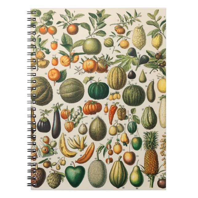 Cuaderno Frutas Verduras Ilustración Botánica Científica (Frente)