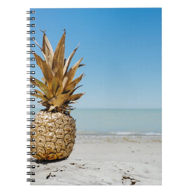 Cuaderno Fruto de piña marrón en la orilla del mar (Frente)