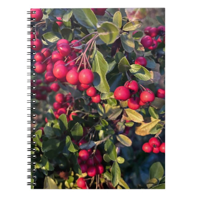 Cuaderno Frutos del otoño (Frente)