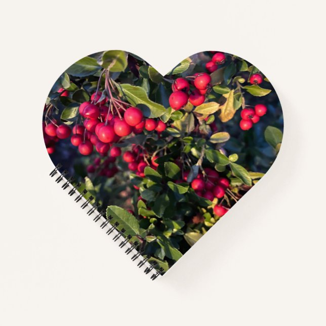 Cuaderno Frutos del otoño (Anverso)