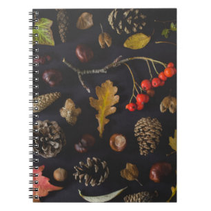 CUADERNO FRUTOS MUCHO EN LA SUPERFICIE NEGRA