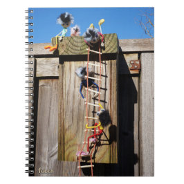 Cuaderno Fubby's die een vogelhuis beklimmen.