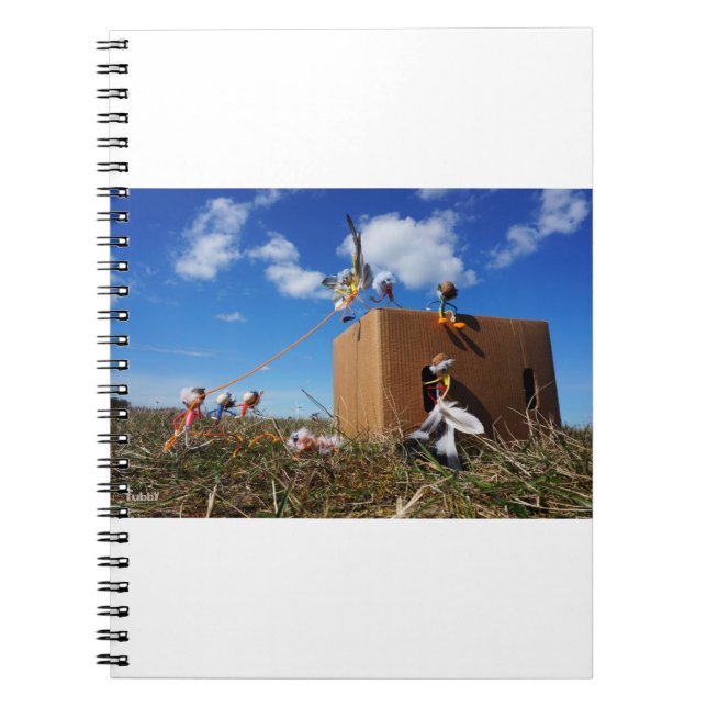 Cuaderno Fubby's die spelen met veren en vliegen. (Frente)