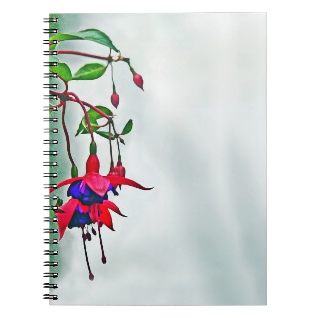 Cuaderno Fucsia (Frente)