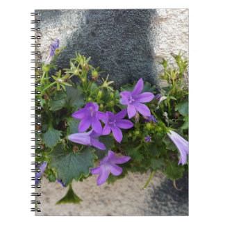Cuaderno fuera de la flor de la pared