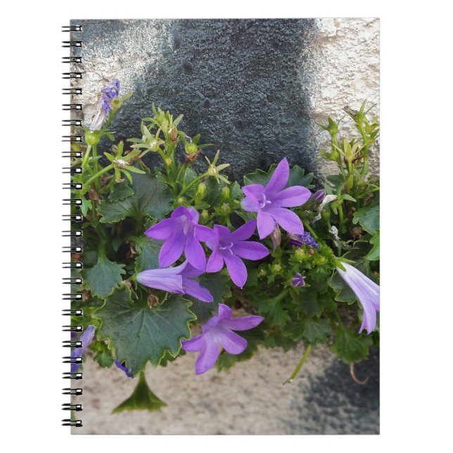 Cuaderno fuera de la flor de la pared (Frente)