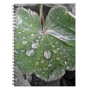 Cuaderno fuerte lluvia