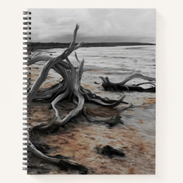 Cuaderno Fuerzas Naturales del Lago Tyrrell