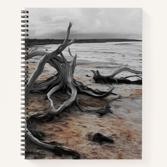 Cuaderno Fuerzas Naturales del Lago Tyrrell (Anverso)