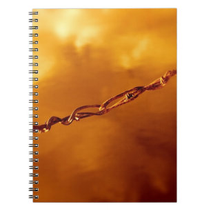 Cuaderno Fuga de alambre de púas