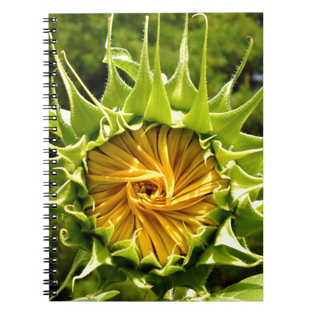 Cuaderno Fun amarillo flor girasol (Frente)