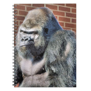 CUADERNO FUN GORILLA