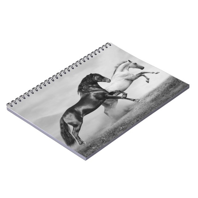 Cuaderno Funcionamiento de los caballos (Lado Izquierdo)