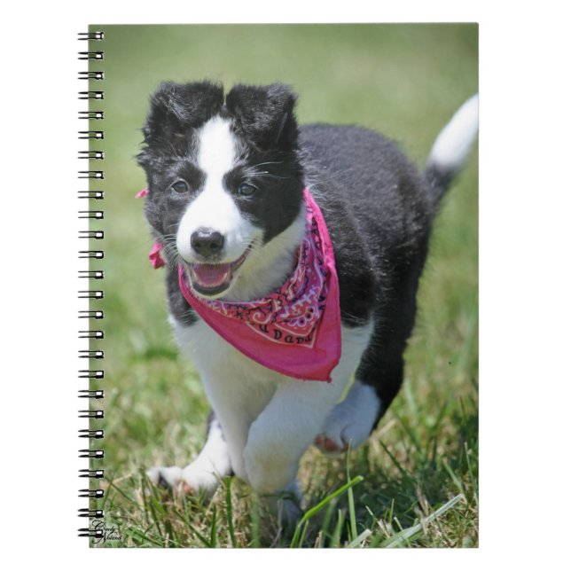 Cuaderno Funcionamiento del perrito del border collie (Frente)