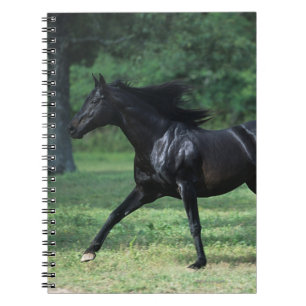 Cuaderno Funcionamiento excelente
