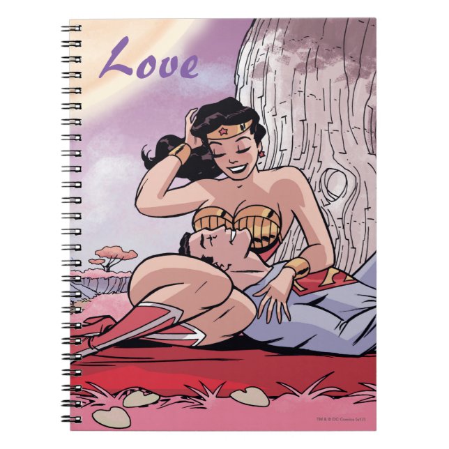 Cuaderno Funda de historietas para superman/maravilla #14 V (Frente)