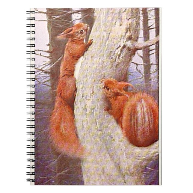 Cuaderno "Funda de nueces" (Frente)