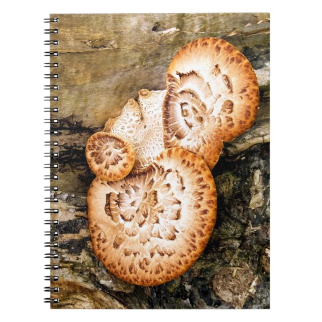CUADERNO FUNGI (Frente)