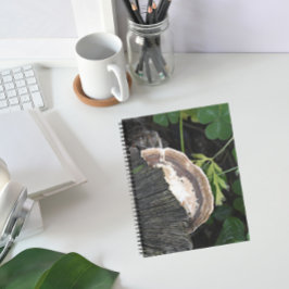 Cuaderno Fungo poliporo sobre trenzas de árbol