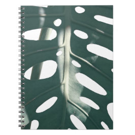 Cuaderno Funky planta de queso suizo verde pálido