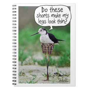 Cuaderno FUNNY BIRD SHORD Card o regalo
