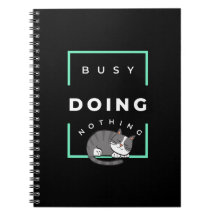 FUNNY CAT BUSY NO HACE NADA