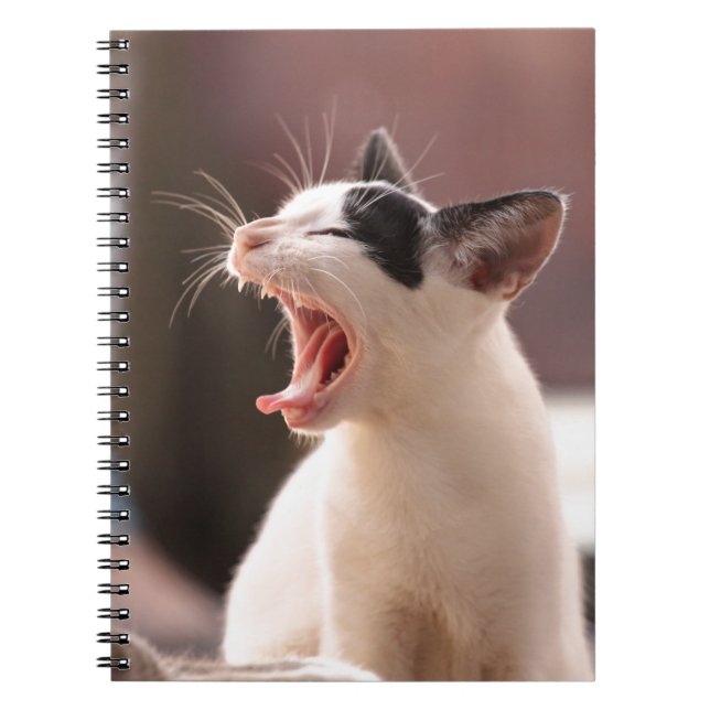 Cuaderno Funny Cat Yawning (Frente)