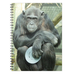 CUADERNO FUNNY CHIMPANZEE