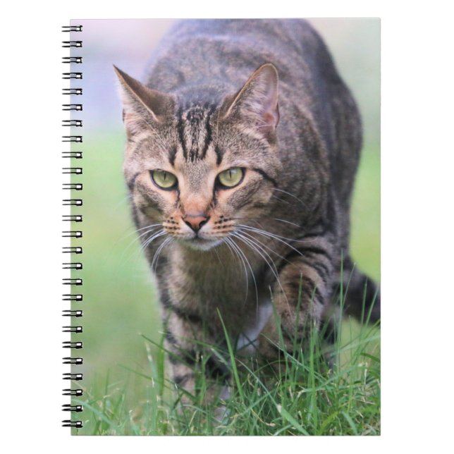 Cuaderno Gabe (Frente)