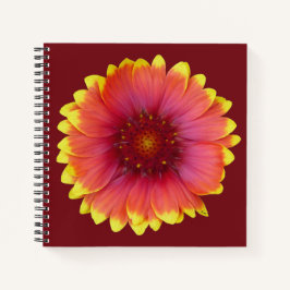 Cuaderno Gaillardia 1