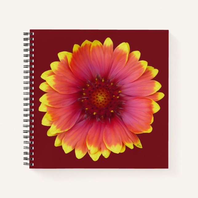 Cuaderno Gaillardia 1 (Anverso)