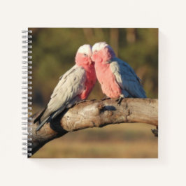 Cuaderno Galahs rosados