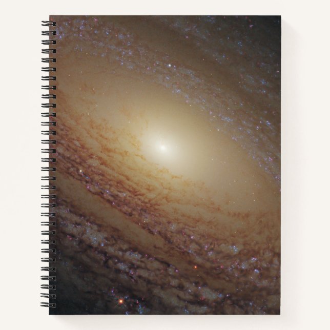 Cuaderno Galaxia Espiral Ngc 2841 (Anverso)