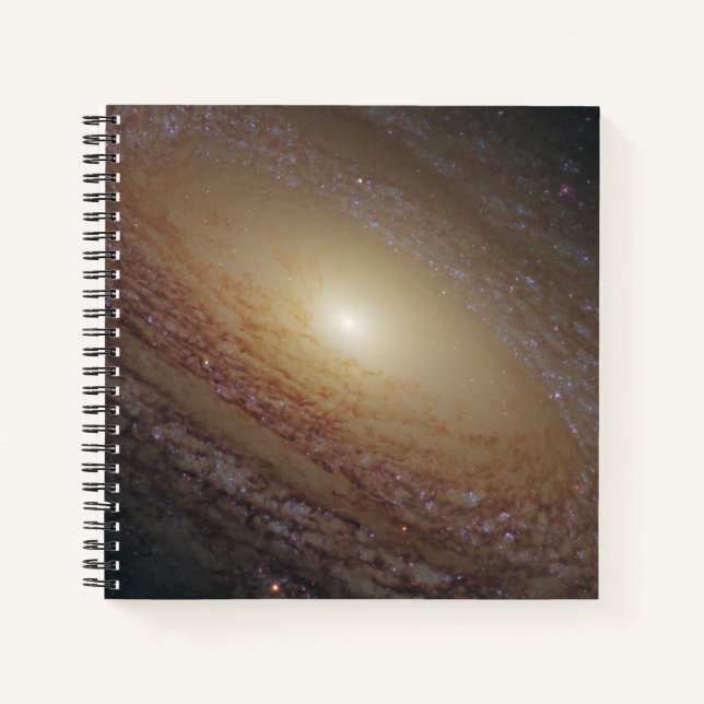Cuaderno Galaxia Espiral Ngc 2841 (Anverso)