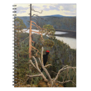 Cuaderno Gallen-Kallela - Grandioso pájaro carpintero negro