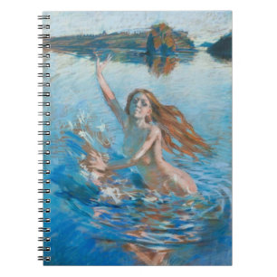 Cuaderno Gallen-Kallela’s Aino notebook