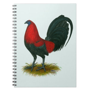 Cuaderno Gallero Americano:  Pardo Rojo