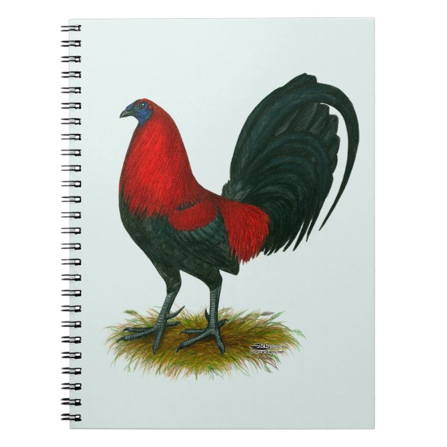 Cuaderno Gallero Americano:  Pardo Rojo (Frente)
