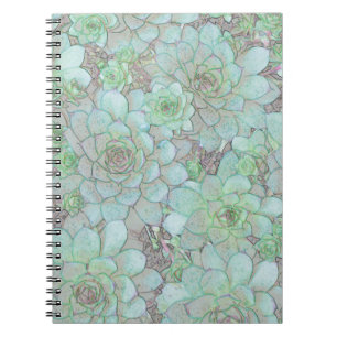 Cuaderno Gallinas