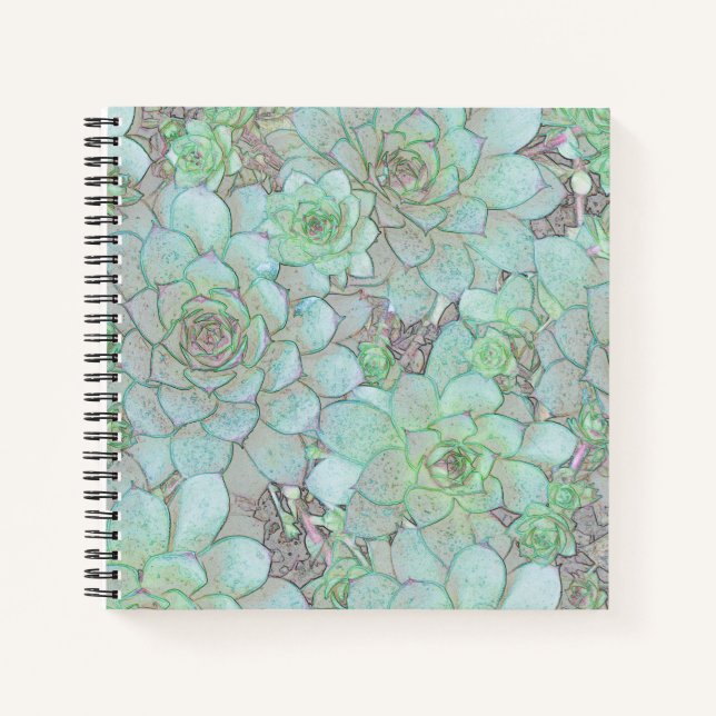 Cuaderno Gallinas (Anverso)