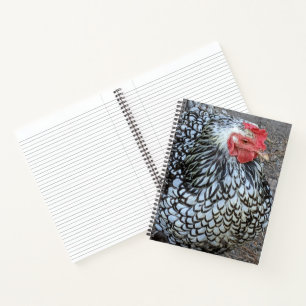 Cuaderno Gallo Barred Plymouth Rock