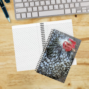 Cuaderno Gallo Barred Plymouth Rock