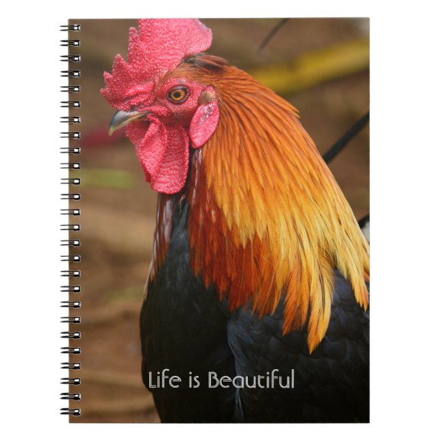 Cuaderno Gallo Kauai (mi fotografía) (Frente)